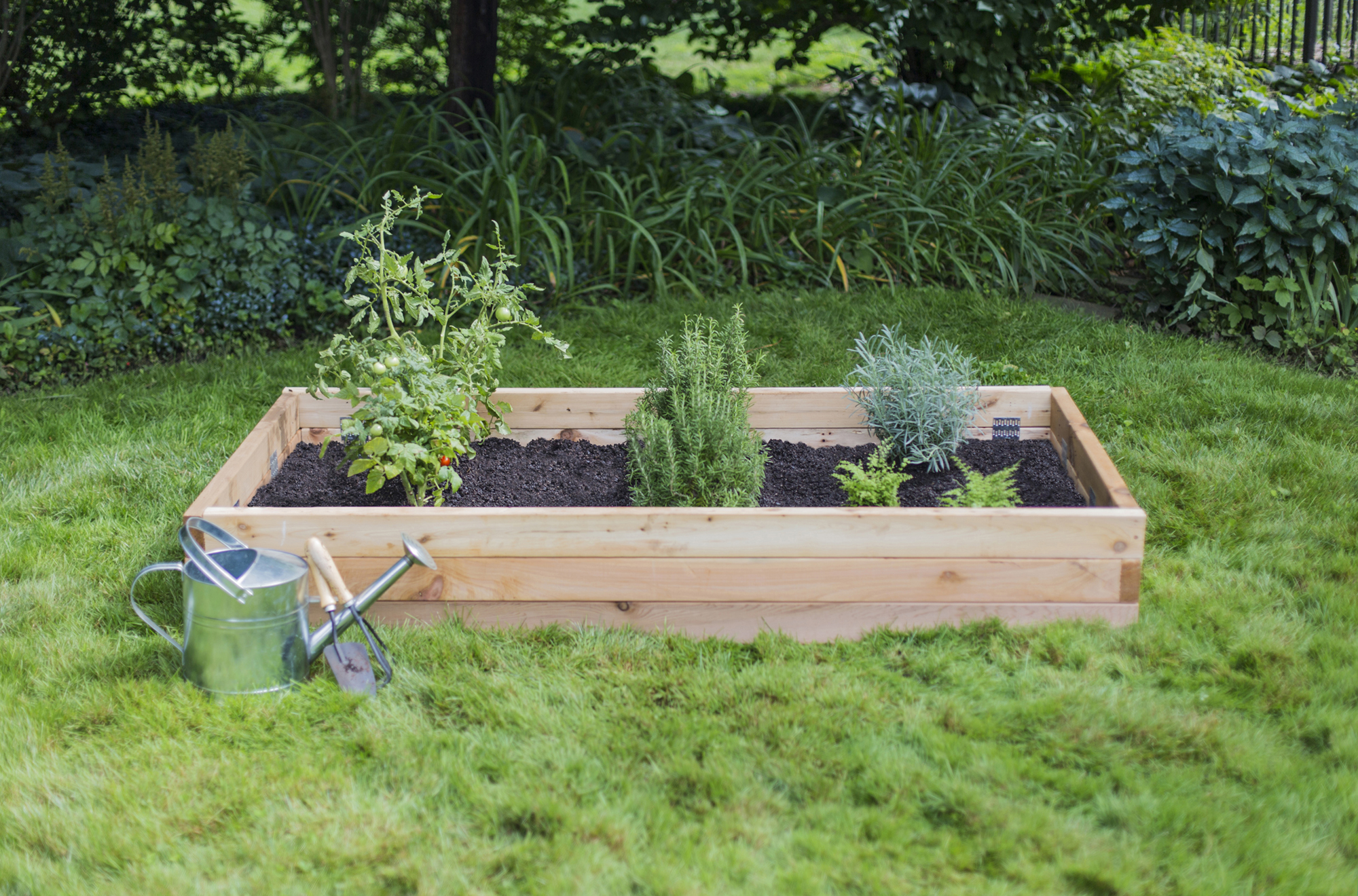 Why I Stopped Using Raised Garden Beds - The Seasonal Homestead